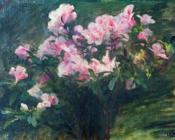 查尔斯 阿玛布尔 勒诺瓦 : Azalees Etude